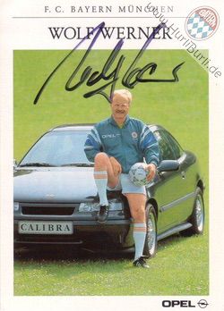Werner, Wolf