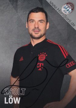 Löw, Zsolt