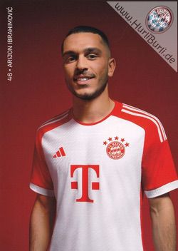 Ibrahimovic, Arijon