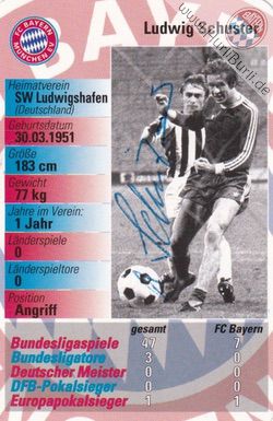 Schuster, Ludwig