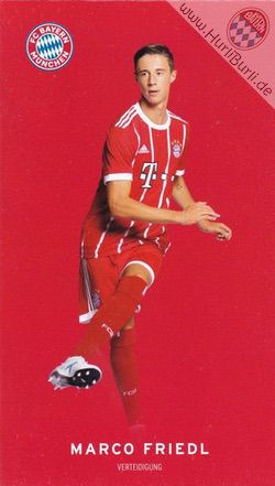 Friedl, Marco