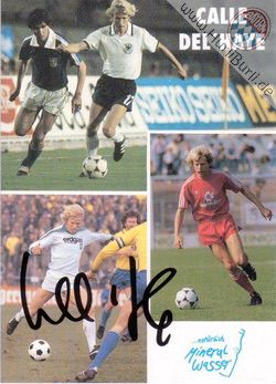 Del Haye, Karl